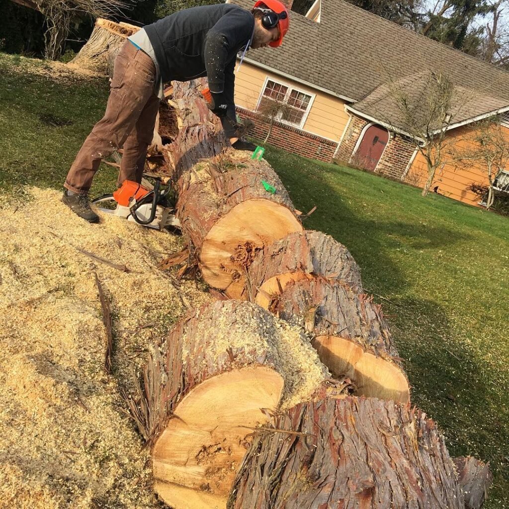 Storm Clean up / environmental damage