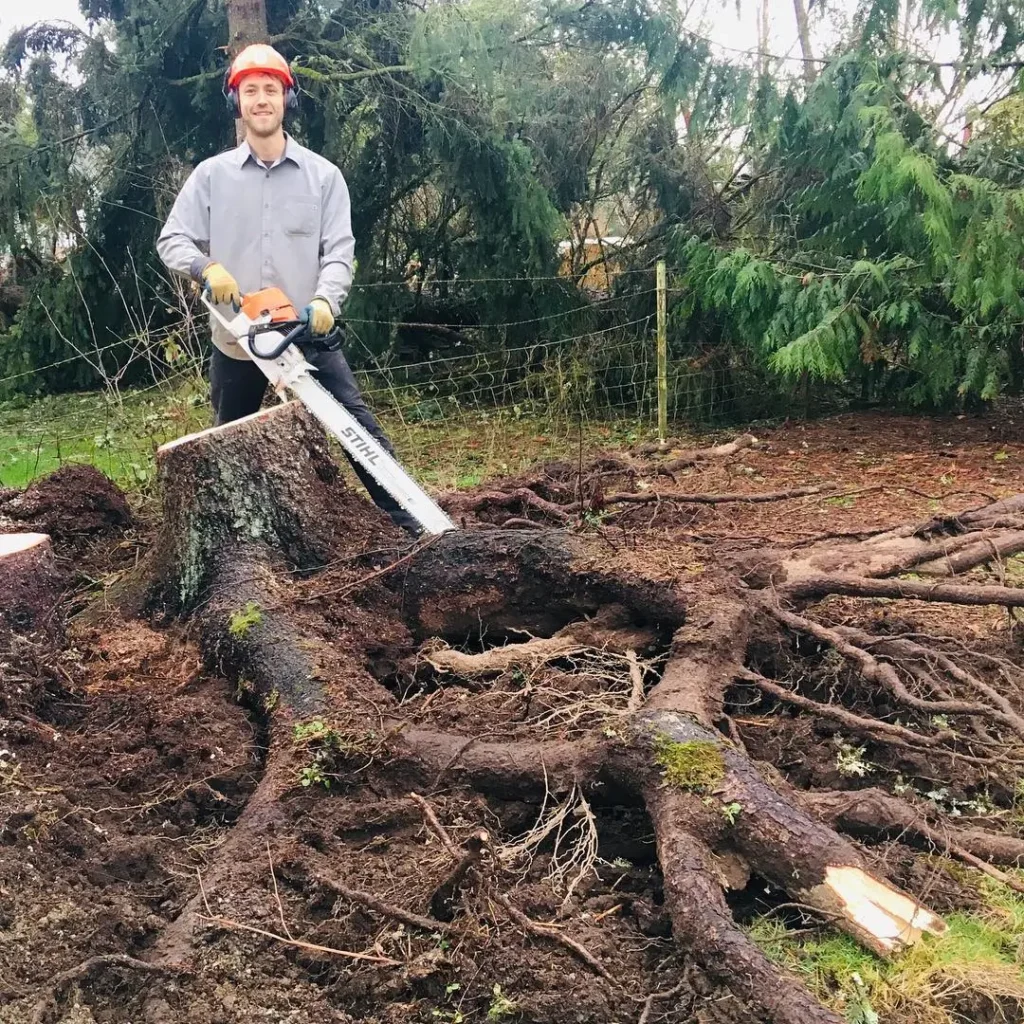 Stump grinding