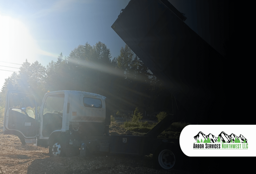 Storm Tree Removal: Why Fast Emergency Tree Services Matter After Severe Weather